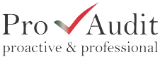 Pro Audit Logo